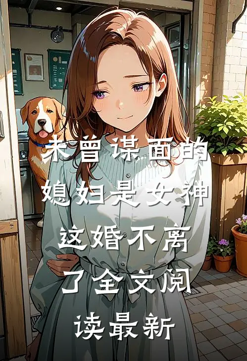 未曾谋面的媳妇是女神，这婚不离了全文阅读最新
