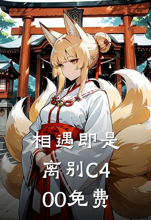 相遇即是离别C400免费