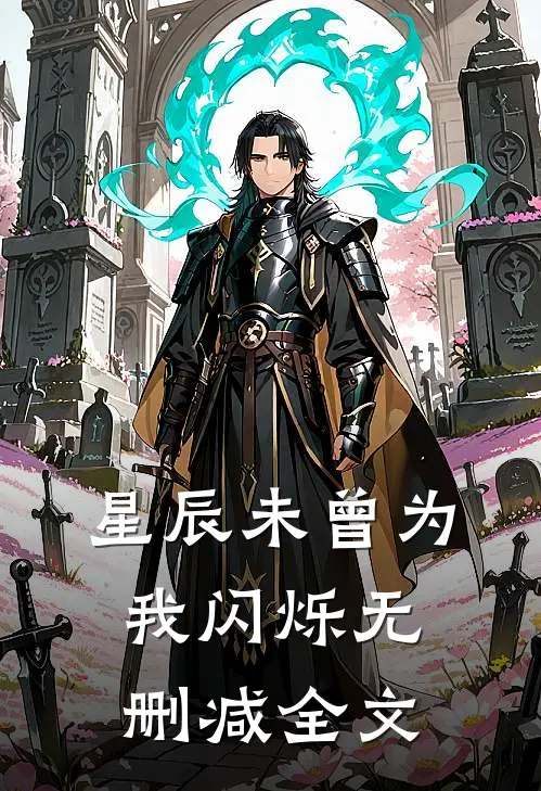 星辰未曾为我闪烁无删减全文