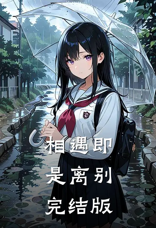 相遇即是离别完结版