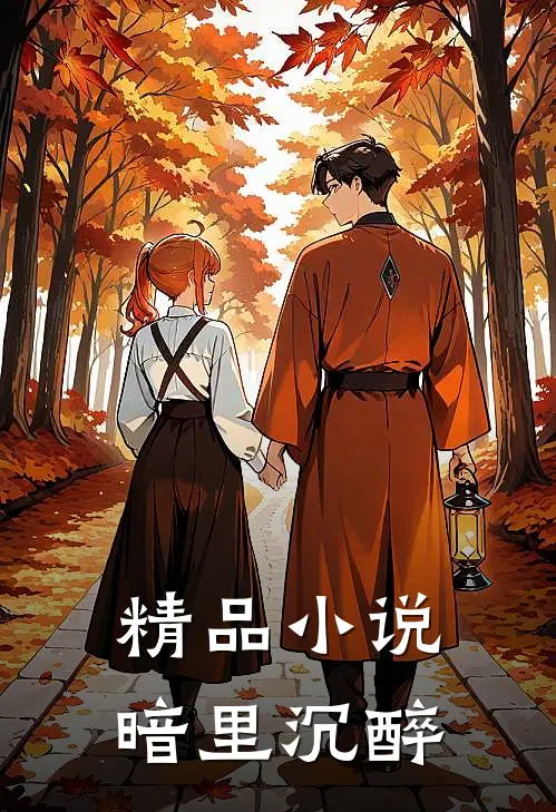 精品小说暗里沉醉