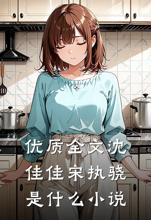 优质全文沈佳佳宋执骁是什么小说