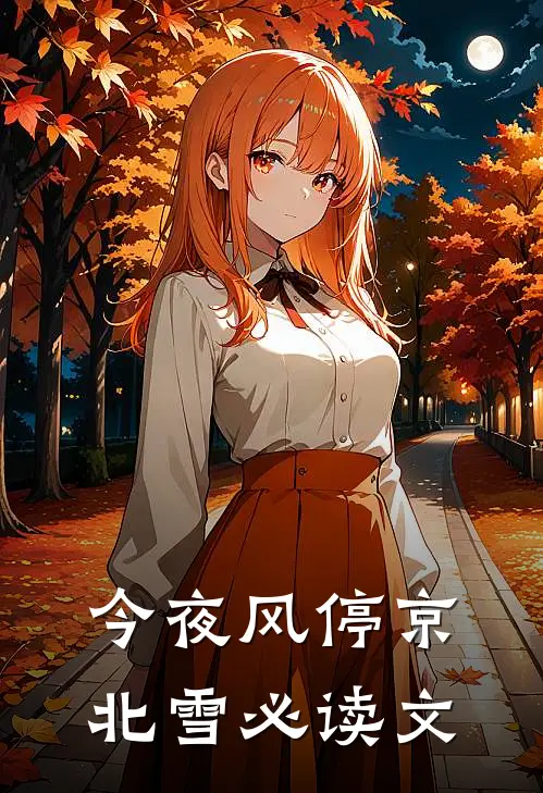 今夜风停京北雪必读文