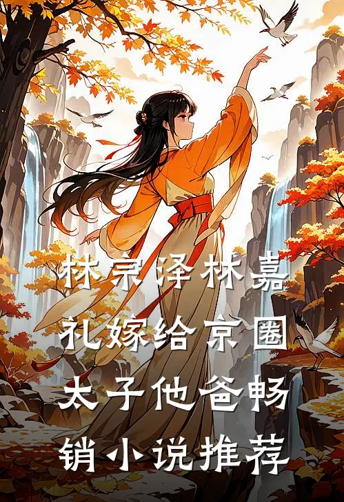 林宗泽林嘉礼嫁给京圈太子他爸畅销小说推荐