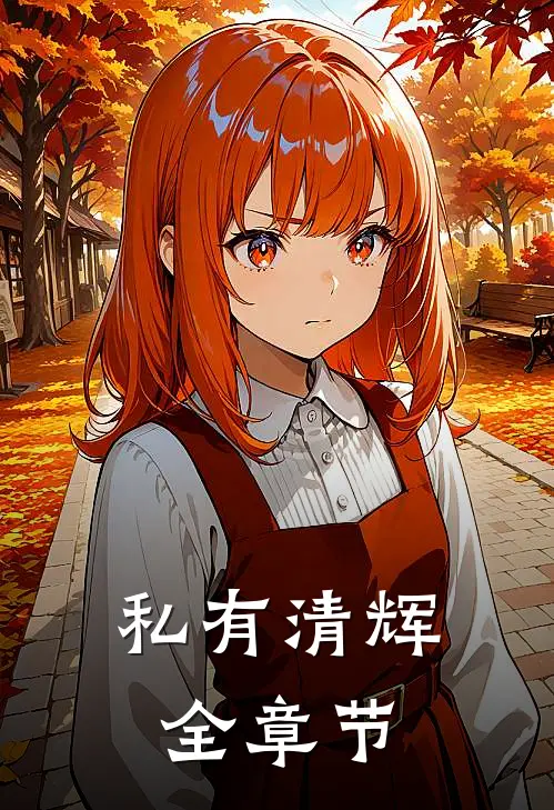 私有清辉全章节