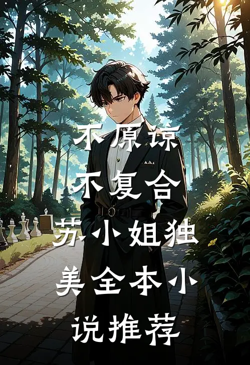 不原谅，不复合，苏小姐独美全本小说推荐