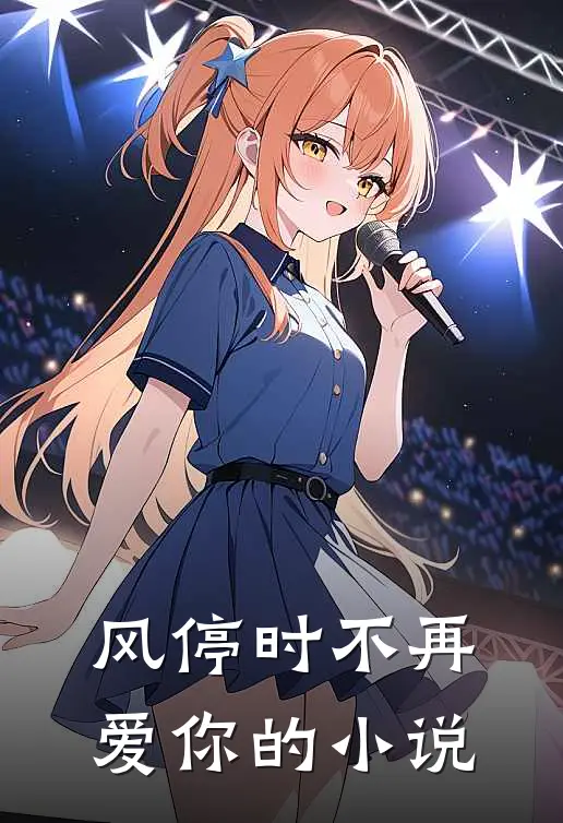 风停时不再爱你的小说