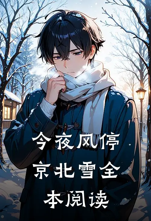 今夜风停京北雪全本阅读