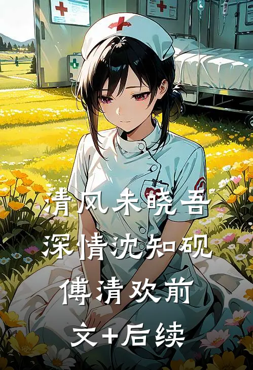 清风未晓吾深情沈知砚傅清欢前文+后续