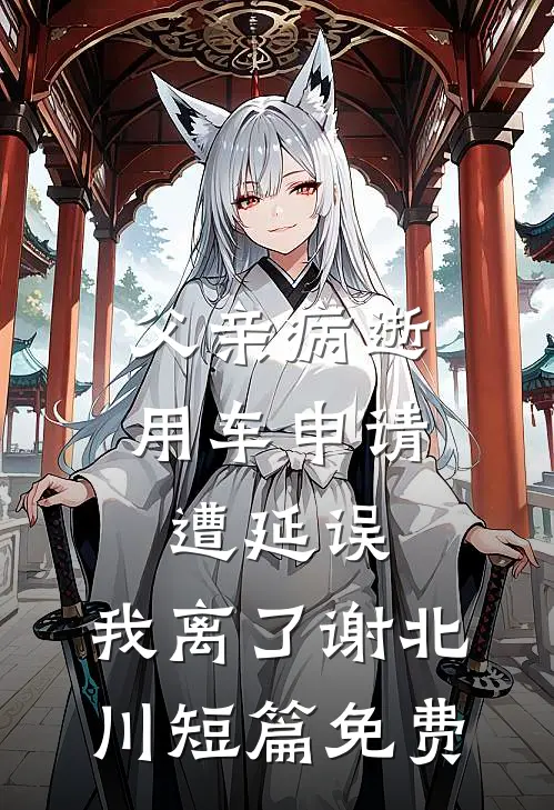 父亲病逝用车申请遭延误，我离了谢北川短篇免费