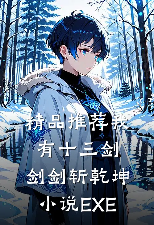 精品推荐我有十三剑,剑剑斩乾坤小说EXE