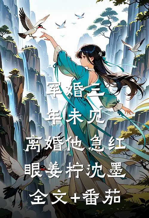 军婚三年未见，离婚他急红眼姜柠沈墨全文+番茄