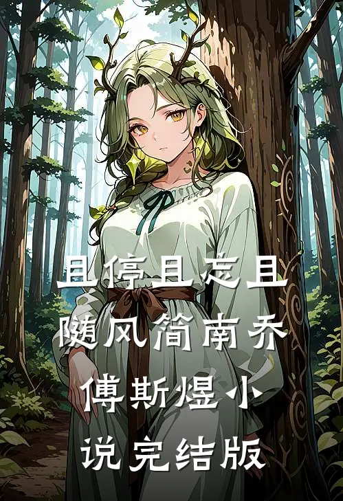 且停且忘且随风简南乔傅斯煜小说完结版