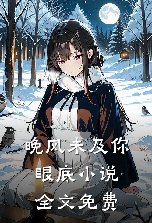 晚风未及你眼底小说全文免费