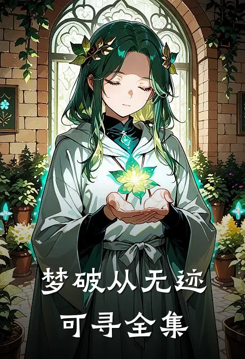 梦破从无迹可寻全集