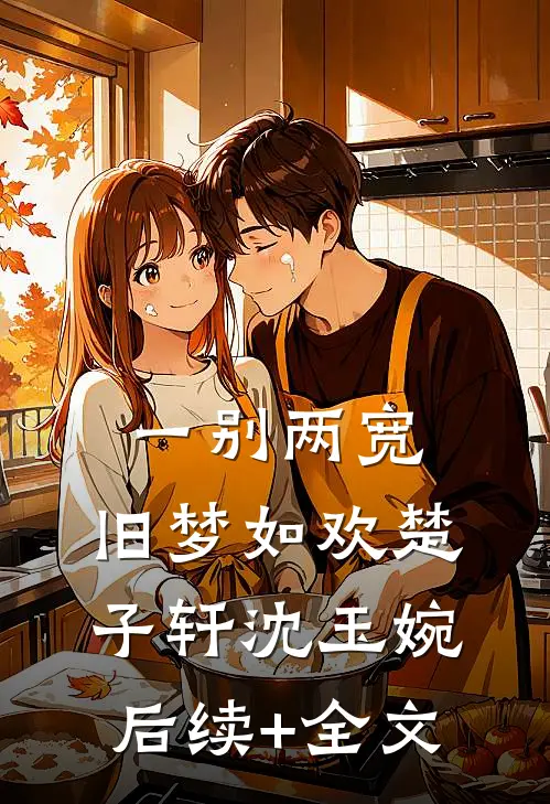 一别两宽，旧梦如欢楚子轩沈玉婉后续+全文