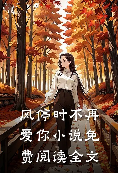 风停时不再爱你小说免费阅读全文