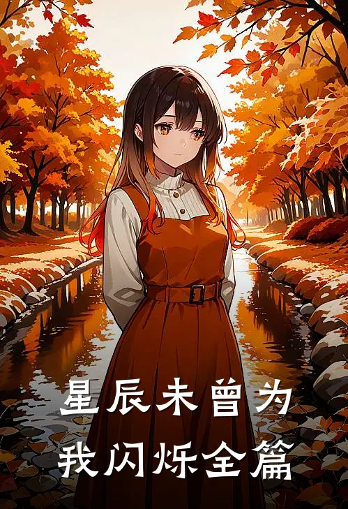 星辰未曾为我闪烁全篇