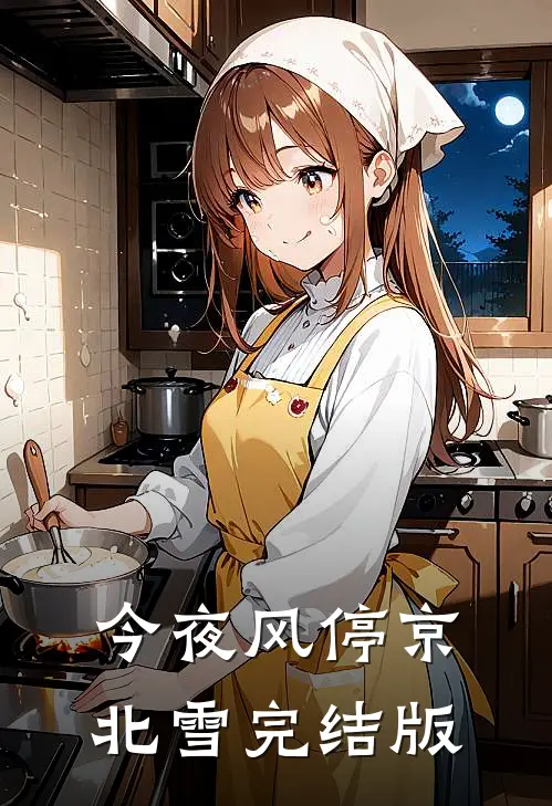 今夜风停京北雪完结版