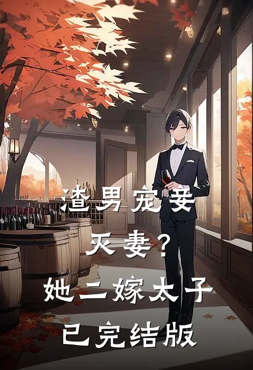 渣男宠妾灭妻？她二嫁太子已完结版
