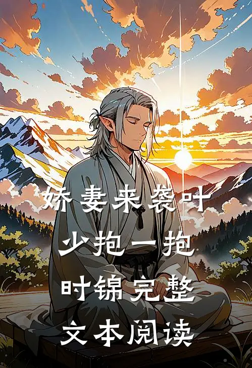 娇妻来袭叶少抱一抱时锦完整文本阅读