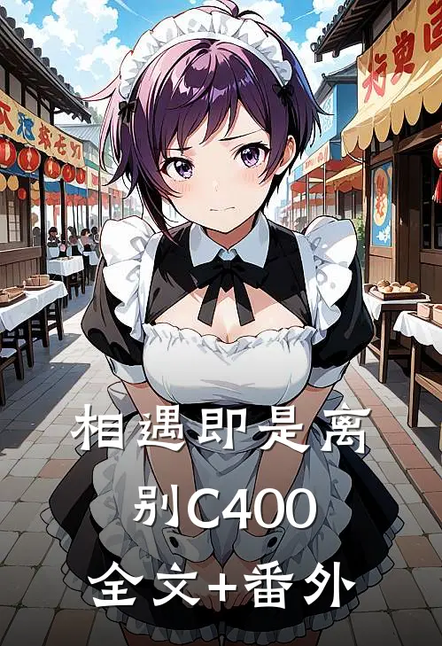相遇即是离别C400全文+番外