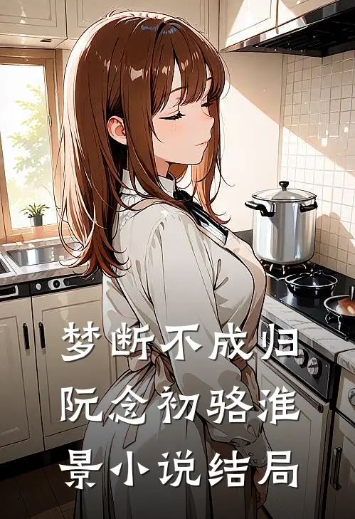 梦断不成归阮念初骆淮景小说结局