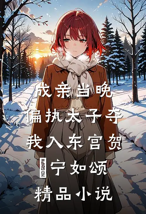 成亲当晚,偏执太子夺我入东宫贺玥宁如颂精品小说