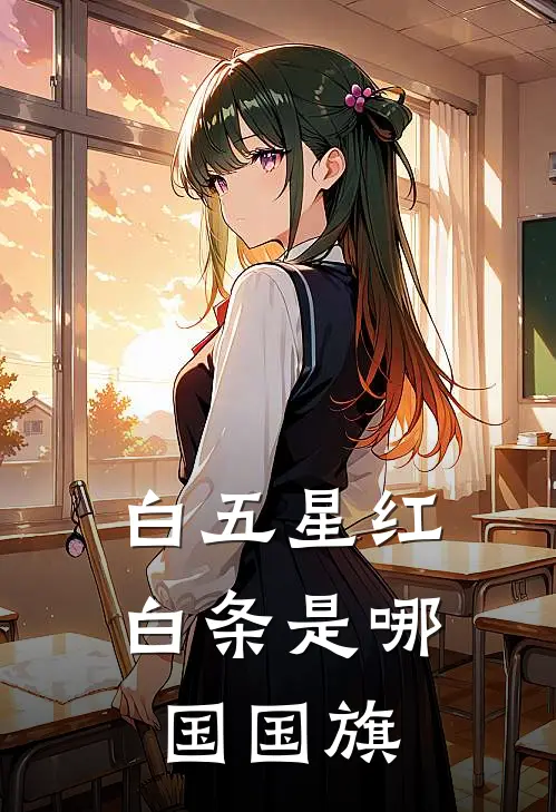 白五星红白条是哪国国旗