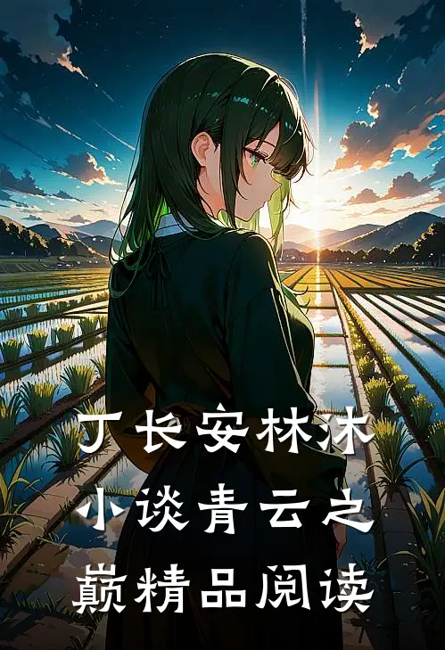 丁长安林沐小谈青云之巅精品阅读