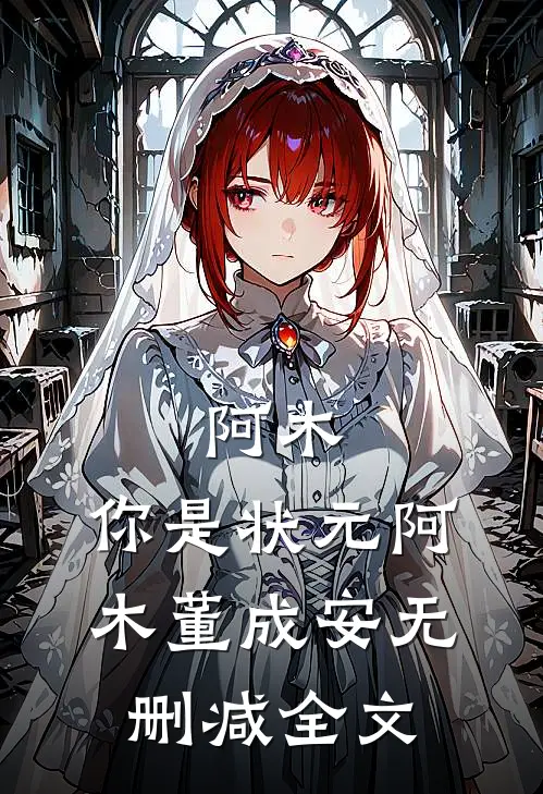 阿木，你是状元阿木董成安无删减全文