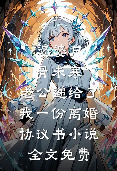 婆婆尸骨未寒，老公递给了我一份离婚协议书小说全文免费