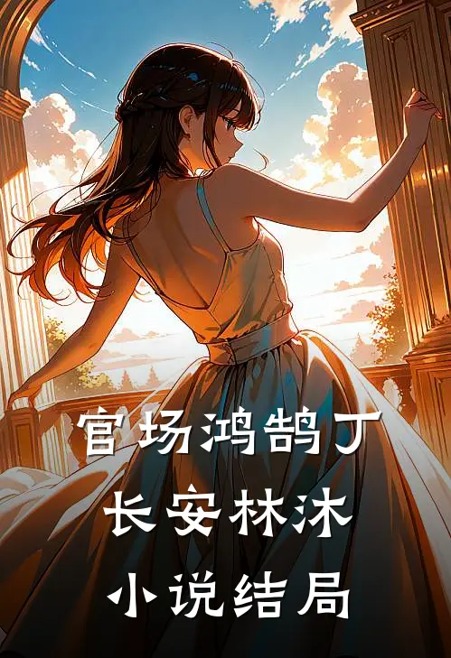 官场鸿鹄丁长安林沐小说结局