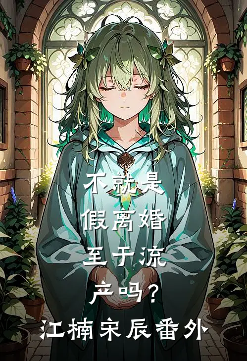 不就是假离婚，至于流产吗？江楠宋辰番外