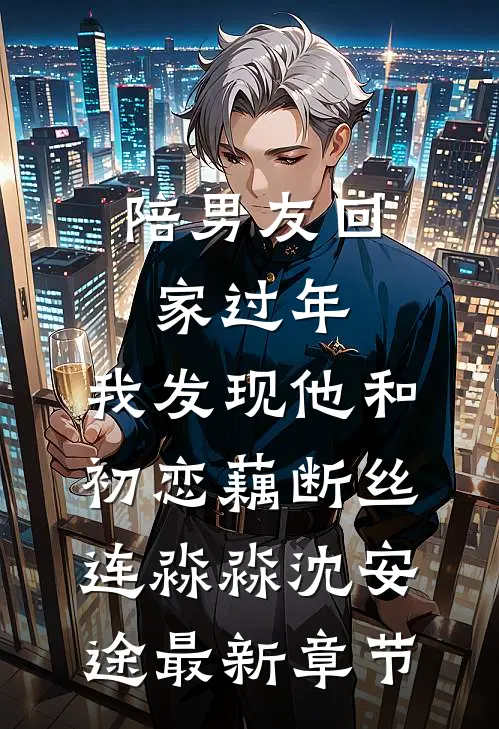 陪男友回家过年，我发现他和初恋藕断丝连淼淼沈安途最新章节