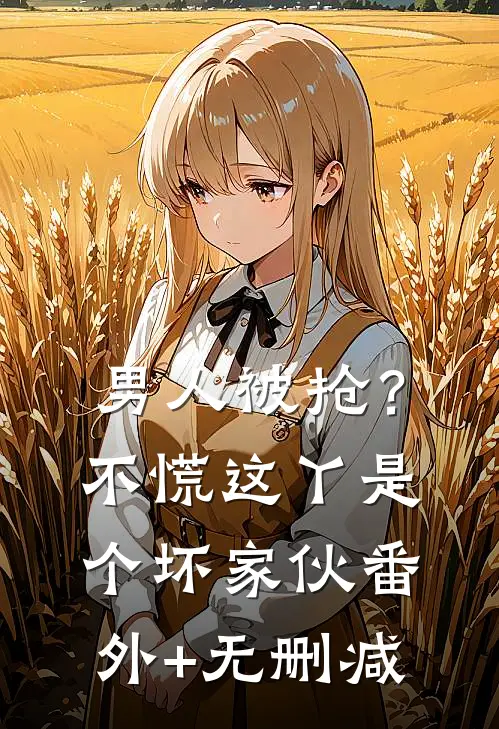 男人被抢？不慌，这丫是个坏家伙番外+无删减