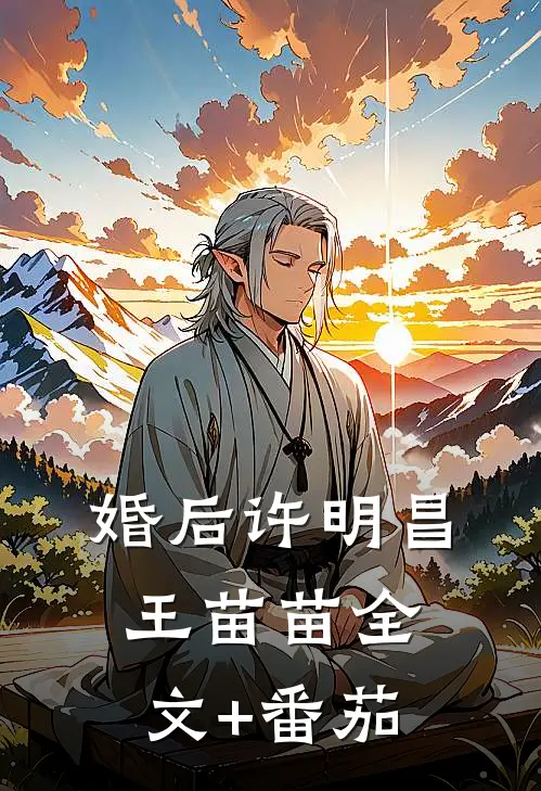 婚后许明昌王苗苗全文+番茄