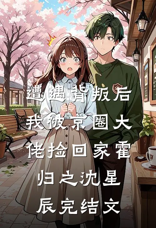 遭遇背叛后，我被京圈大佬捡回家霍归之沈星辰完结文