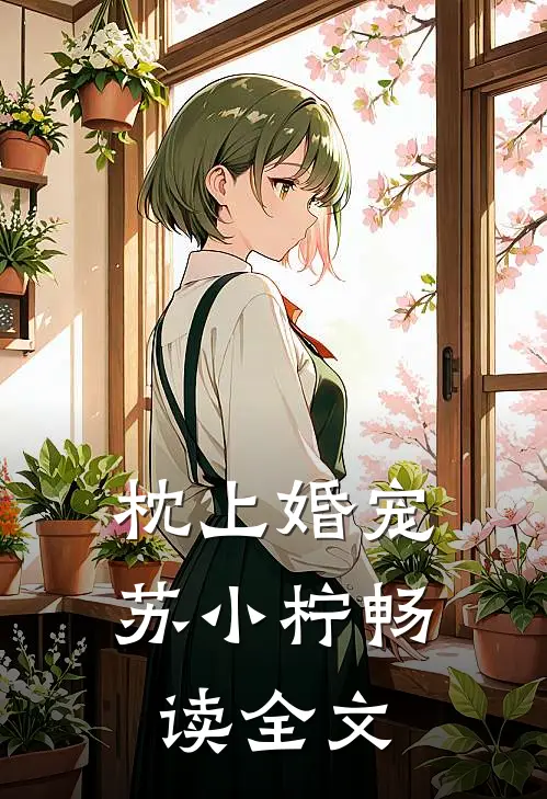 枕上婚宠苏小柠畅读全文